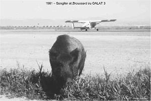 144-AERODROME-ET-BASE-1945-1962-28-  (64) TLEMCEN ZENATA
